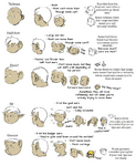 5425448D-CC55-48CB-A86A-E4D3EDE1D612.png