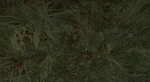 1660521011859.png