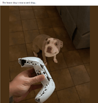 1662931886317.png