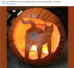 1665925020924.png