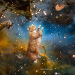 ezgif.com-gif-maker-27.jpg