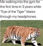 1667055764467.png