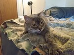 IMG_20220701_163850134.jpg