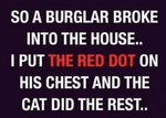 1669179421011.png