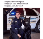 1669480887603.png