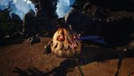 ezgif.com-gif-maker-51.jpg