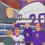 Vikings Fan.jpg