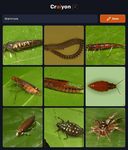 craiyon_232031_Drathnoxis.png