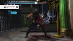 NINJA GAIDEN Σ2_20220502220430.jpg