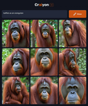 craiyon_181601_baffels_as_an_orangutan.png