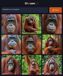 craiyon_181724_thaluikhain_as_an_orangutan.png