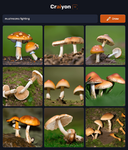 craiyon_161910_mushrooms_fighting.png