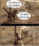 1681466055777.png
