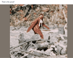 1683127747645.png