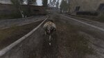 ss_the rogue wolf_05-07-23_20-07-07_(pripyat).jpg