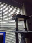 PXL_20230703_132017018.jpg