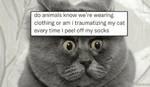 1690850103445.png 1690850103445.png