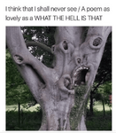 1693149347399.png