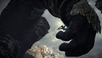 SHADOW OF THE COLOSSUS_20230904124605.jpg