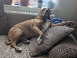 ezgif.com-gif-maker-68.jpg