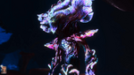ezgif.com-webp-to-png-7.png