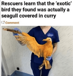 1697570796421.png
