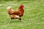 1698112134364.png