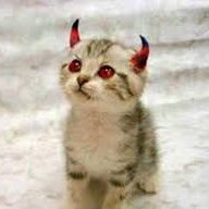 lil devils x