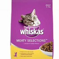 Catfood220
