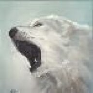 FangoftheWhiteWolf