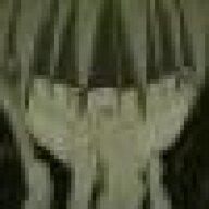 jing-san
