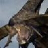 Jonbahamut