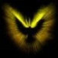 Divine Phoenix