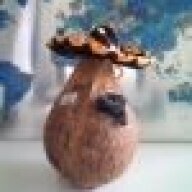 Steve.CyborgCoconut