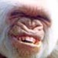 big-gorilla