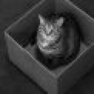 schrodingerscat