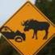 Moosejaw