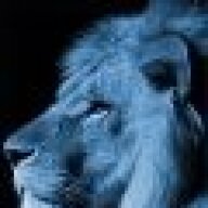 Cobalt Lion