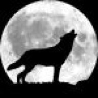 BlackWolf100