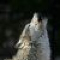 whitewolf35