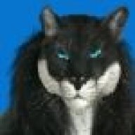 KingmanHighborn