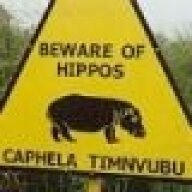 evilhippo