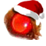 Wonkyth