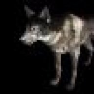 DevilWolf47
