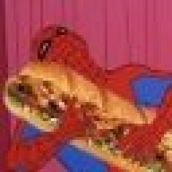 Bazoozle