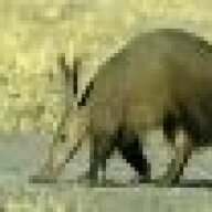 Kogge