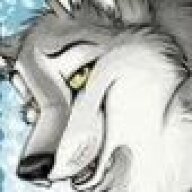 Wiryjackal