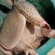armadillo122
