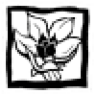 Landrius