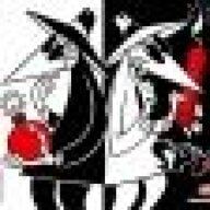 courtjester13